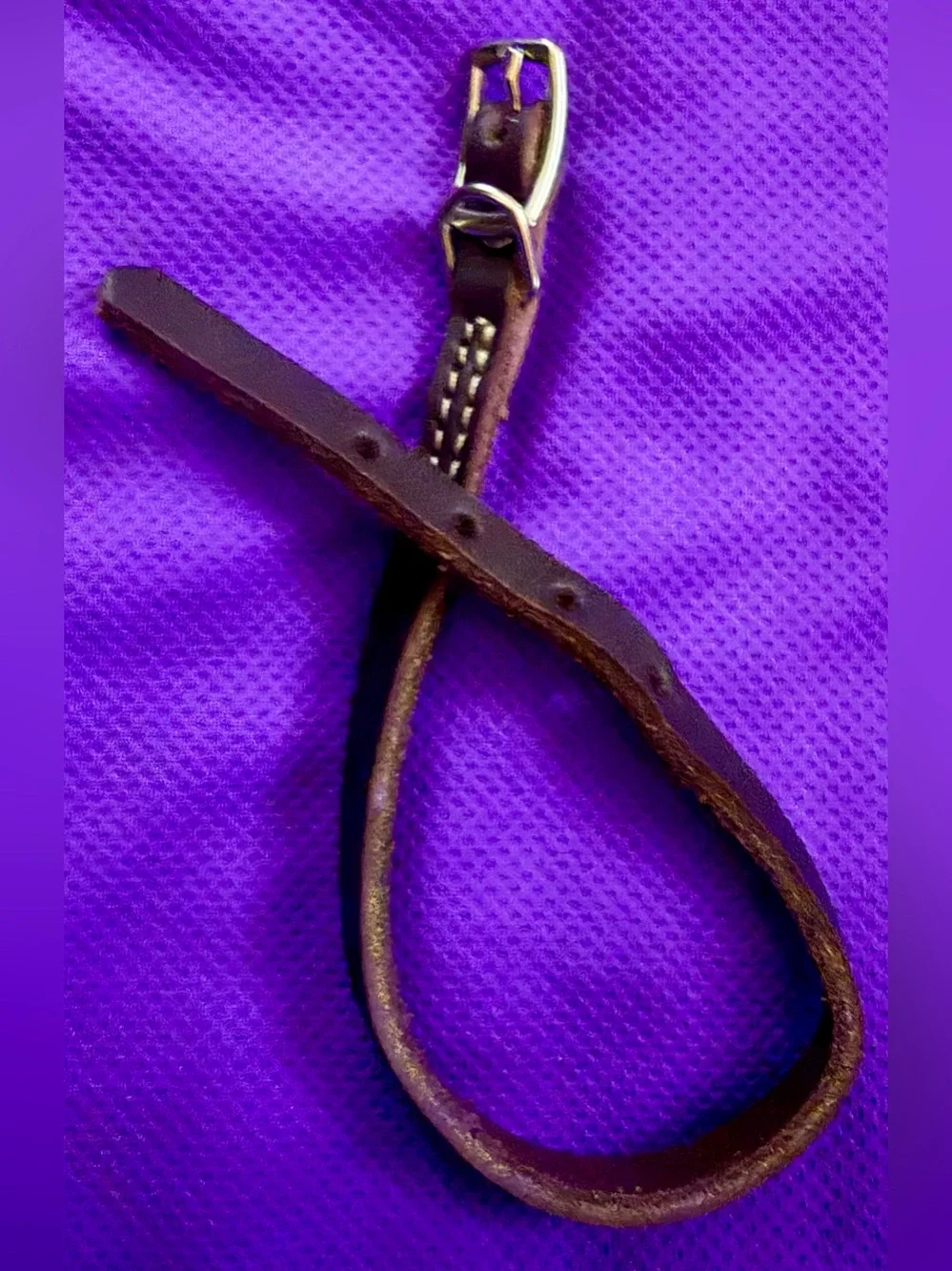 🐾 Classic Brown Leather Slip Lead with Metal Buckle